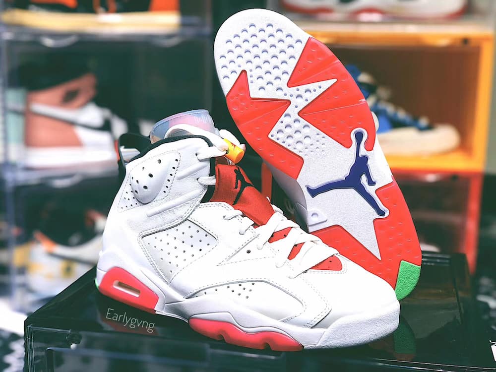 JORDAN HARE 6 BACK