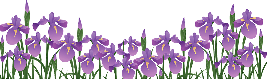 japanese-iris-tsb