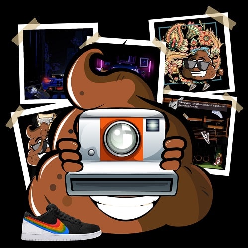 polaroid-sb-dunks-tsb