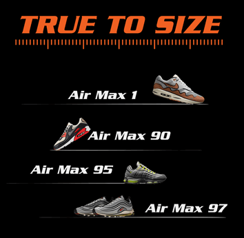 true-to-size-nike-am