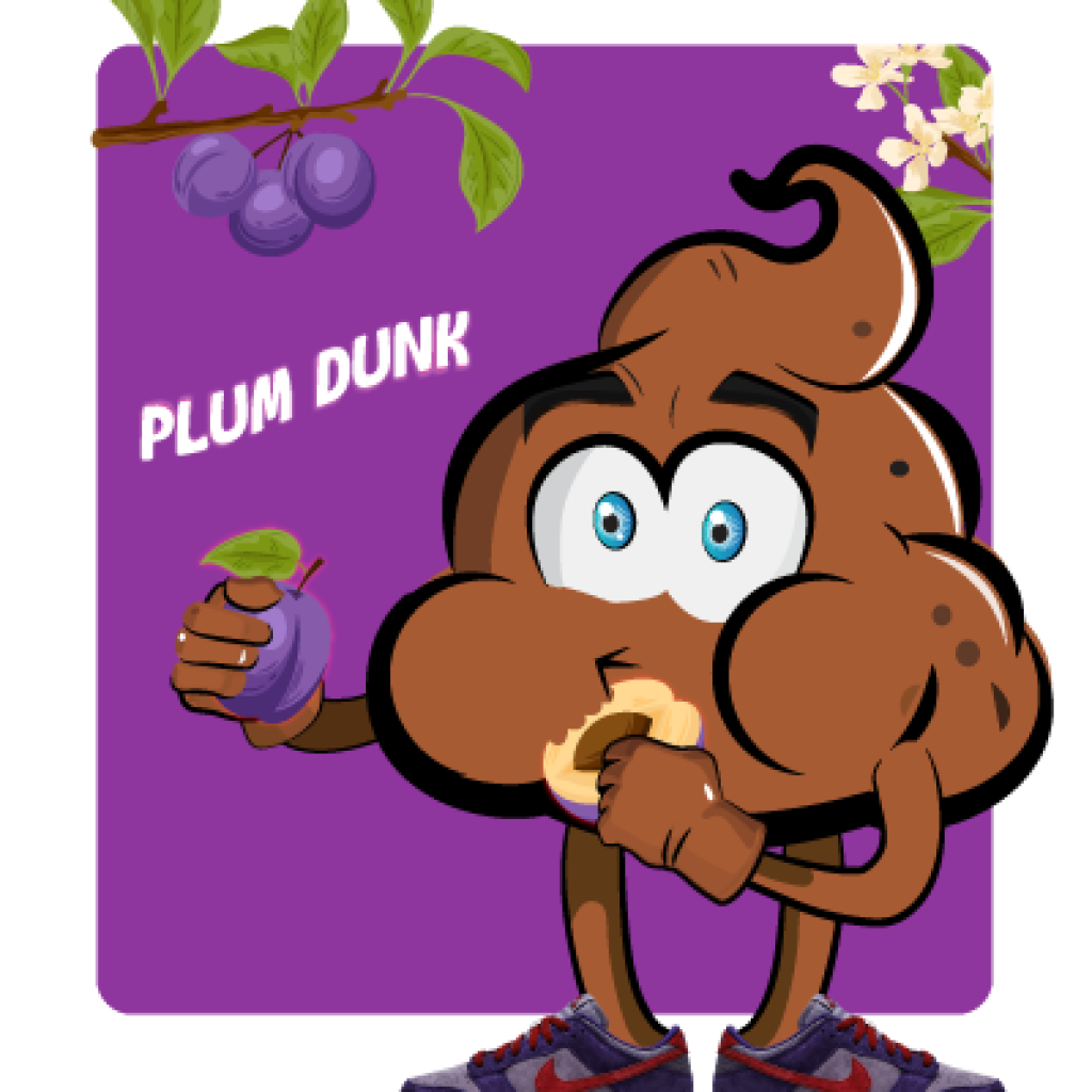 tsb-feat-nike-plum-dunk