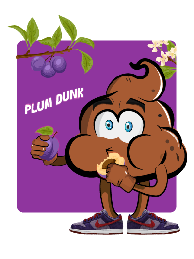 tsb-feat-nike-plum-dunk