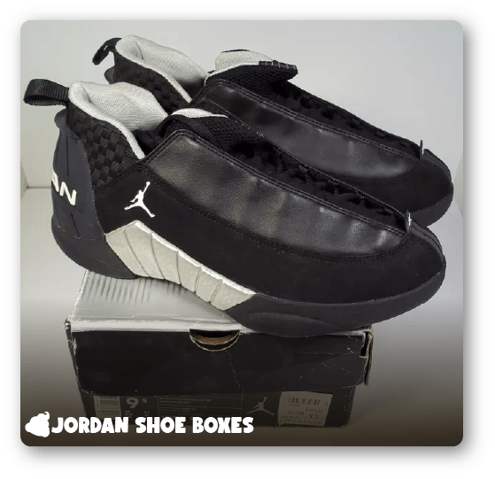 Jordan 15 Shoe Box