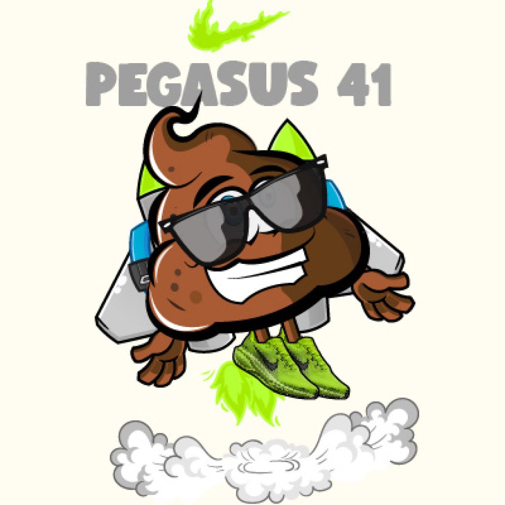 Nike pegasus 41