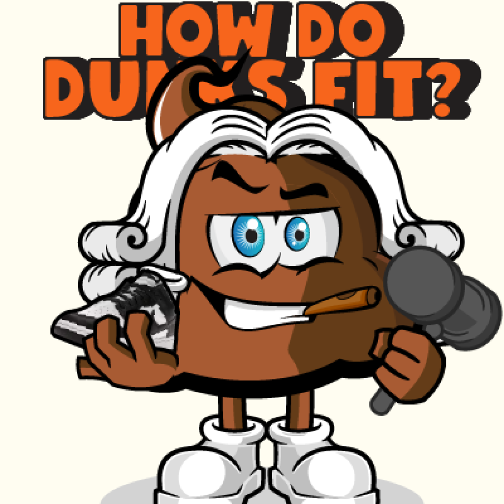 how-do-dunks-fit-smal-feat