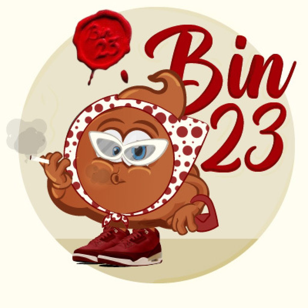 jordan-bin-23-history-tsb