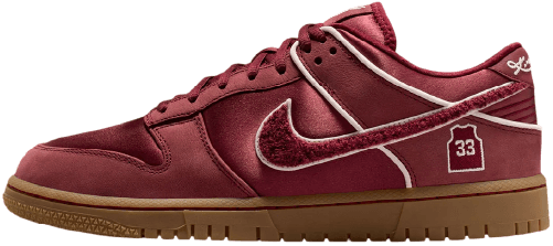 Dunk Lower Merion Aces