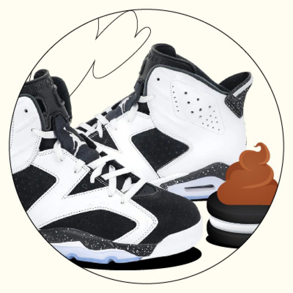 Air Jordan 6 Oreo