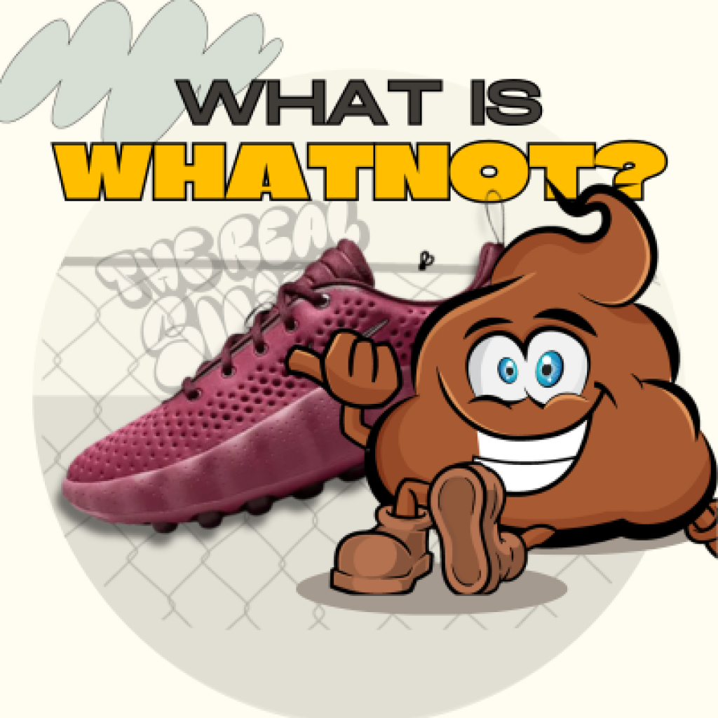 what-is-whatnot-guide
