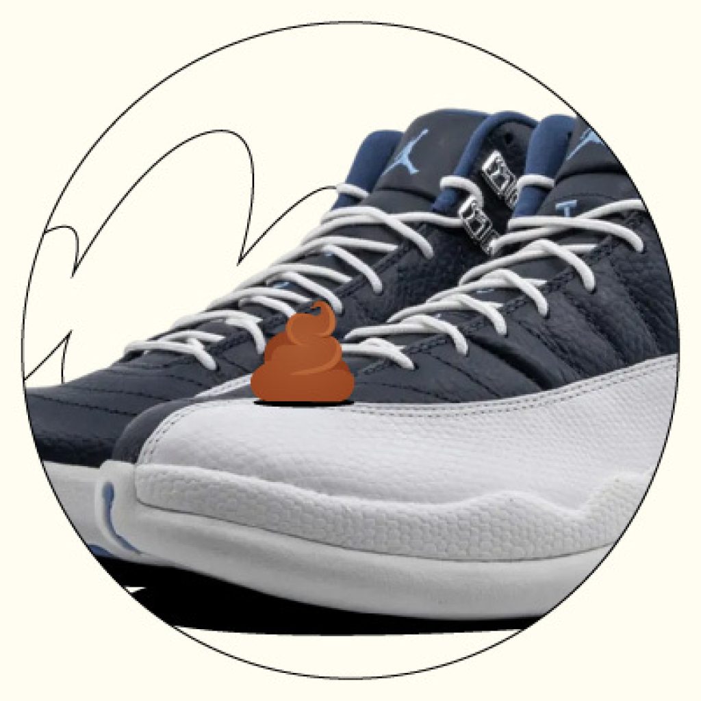 Jordan 12 Obsidian